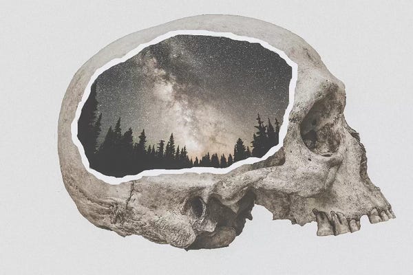 Luke Anthony Gram: Within Nature I by Luke Anthony Gram