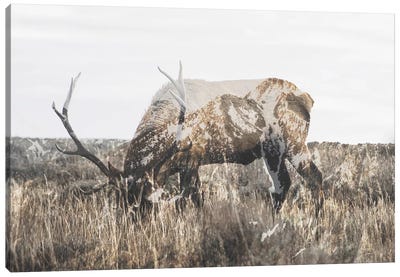 Within Nature II Canvas Art Print - Double Exposure Photography