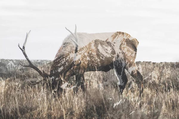 Wyoming: Within Nature II by Luke Anthony Gram