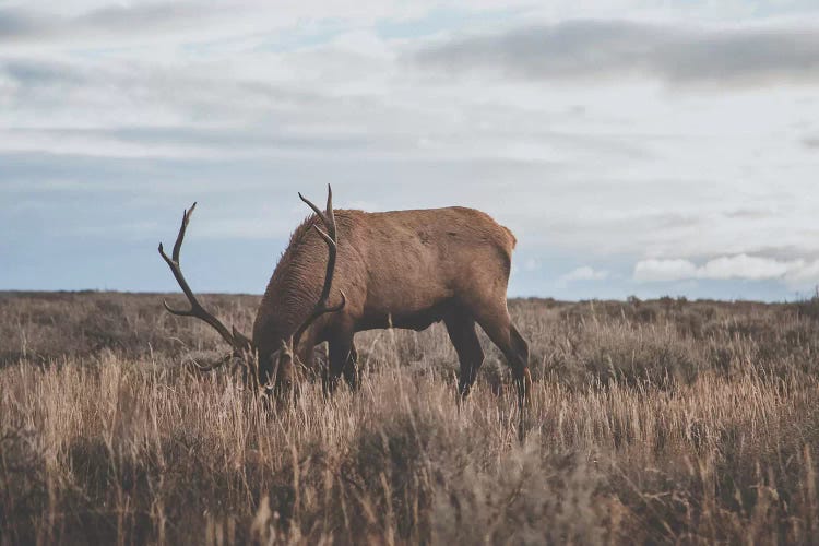 Wyoming, USA