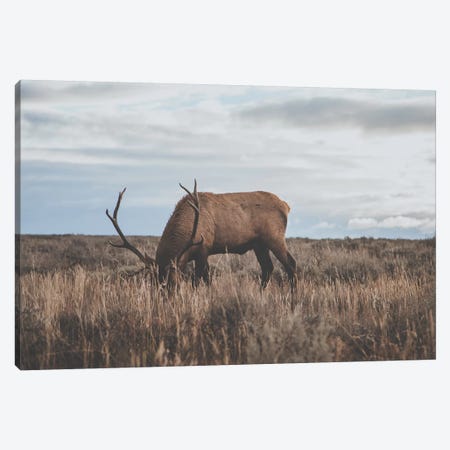 Wyoming, USA Canvas Print #GRM149} by Luke Anthony Gram Canvas Print
