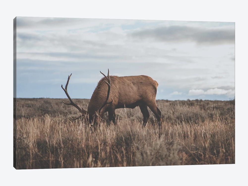 Wyoming, USA by Luke Anthony Gram 1-piece Canvas Art