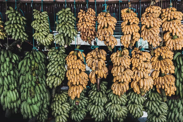 Banana Stand, Guatemala by Luke Anthony Gram wall art