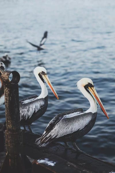 Luke Anthony Gram: Chimbote, Peru by Luke Anthony Gram