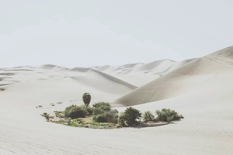 Ica, Peru by Luke Anthony Gram wall art