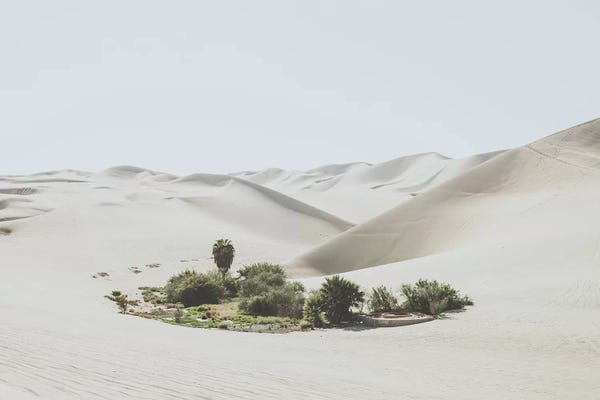 Luke Anthony Gram: Ica, Peru by Luke Anthony Gram