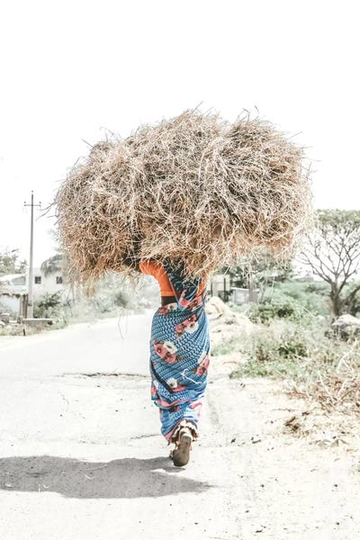 Luke Anthony Gram: India III by Luke Anthony Gram