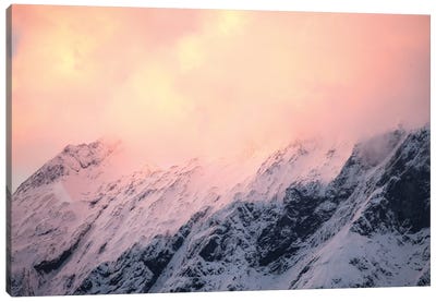 Mount Aspiring National Park, New Zealand II Canvas Art Print - Luke Anthony Gram
