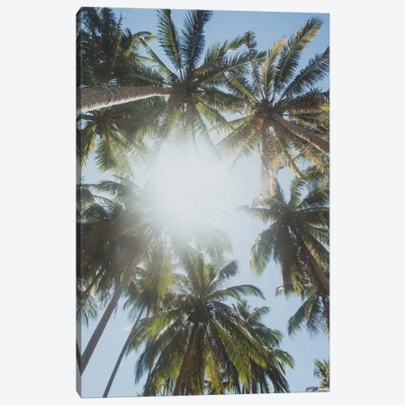 Palm Trees, Philippines II Canvas Print #GRM181} by Luke Anthony Gram Canvas Print