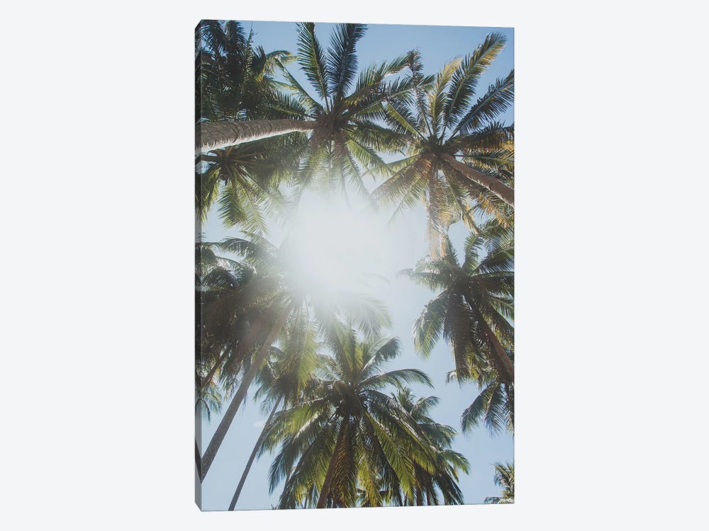 Palm Trees, Philippines II by Luke Anthony Gram 1-piece Canvas Wall Art