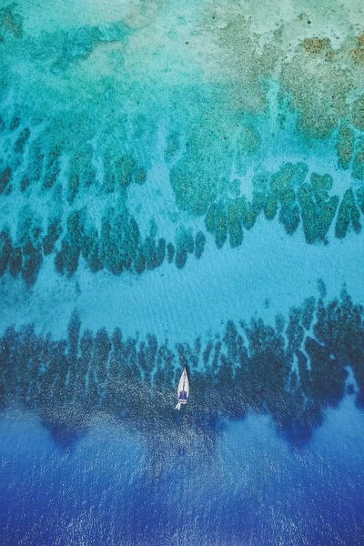 Luke Anthony Gram: Roatan Island, Honduras II by Luke Anthony Gram