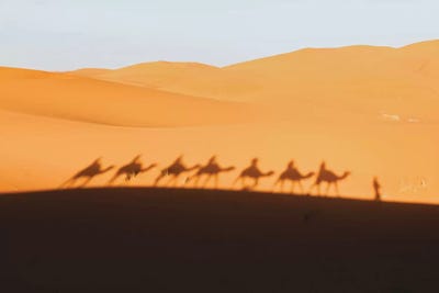 Sahara Desert, Morocco by Luke Anthony Gram framed wall art