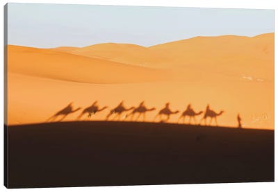 Sahara Desert, Morocco Canvas Art Print - Morocco