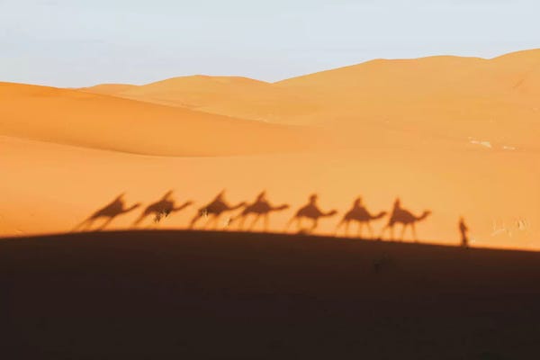 Luke Anthony Gram: Sahara Desert, Morocco by Luke Anthony Gram