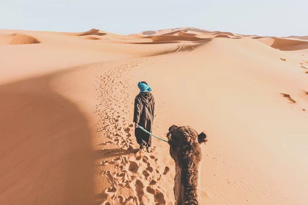 Luke Anthony Gram: Sahara Desert, Morocco II by Luke Anthony Gram