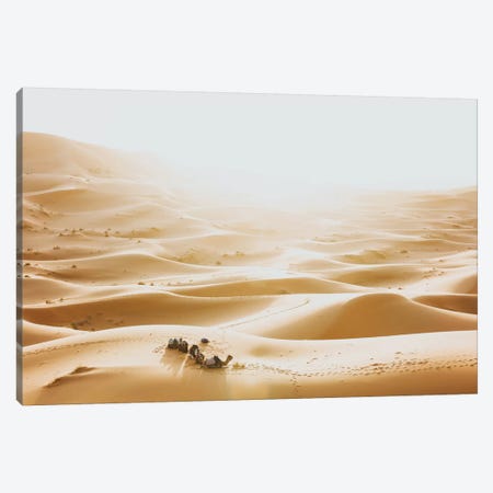 Sahara Desert, Morocco III Canvas Print #GRM192} by Luke Anthony Gram Canvas Art
