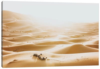 Sahara Desert, Morocco III Canvas Art Print - Morocco