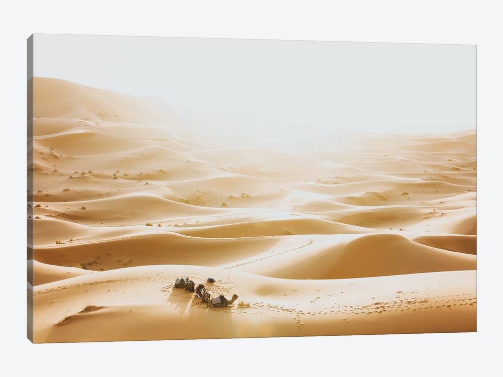 Sahara Desert, Morocco III by Luke Anthony Gram 1-piece Canvas Wall Art