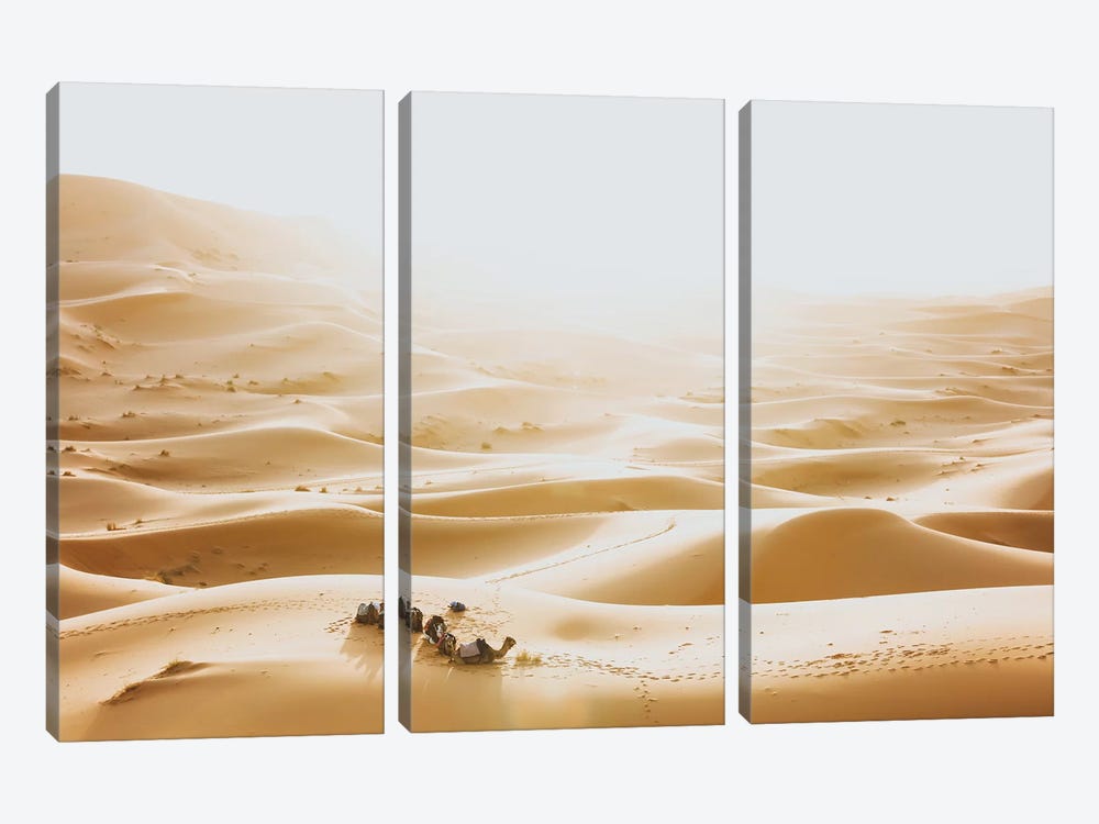 Sahara Desert, Morocco III by Luke Anthony Gram 3-piece Canvas Wall Art