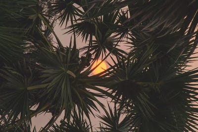 Siem Reap, Cambodia by Luke Anthony Gram art print