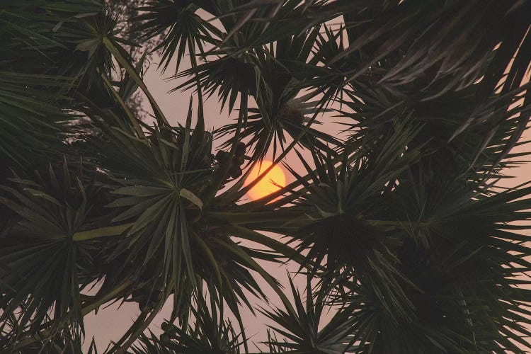 Siem Reap, Cambodia by Luke Anthony Gram wall art