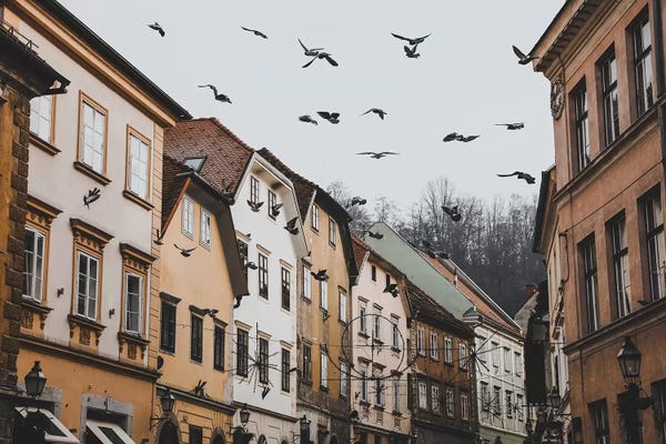 Luke Anthony Gram: Slovenia by Luke Anthony Gram