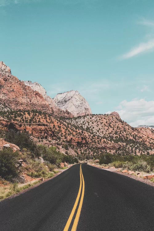 Zion National Park, USA by Luke Anthony Gram wall art