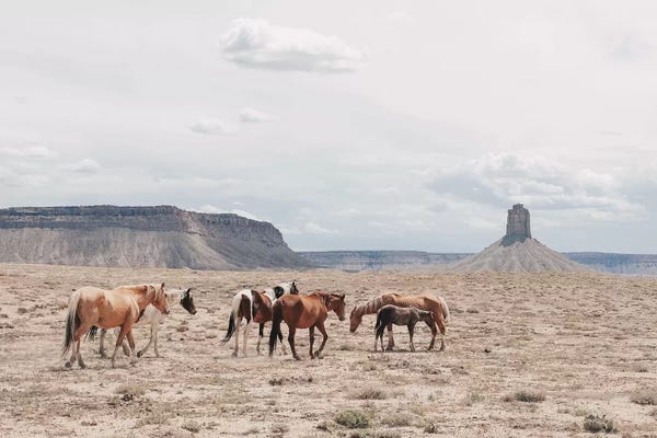 Luke Anthony Gram: Arizona by Luke Anthony Gram
