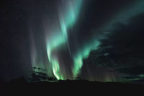 Aurora Borealis: Iceland III by Luke Anthony Gram