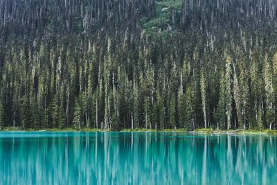 Joffre Lake by Luke Anthony Gram canvas print