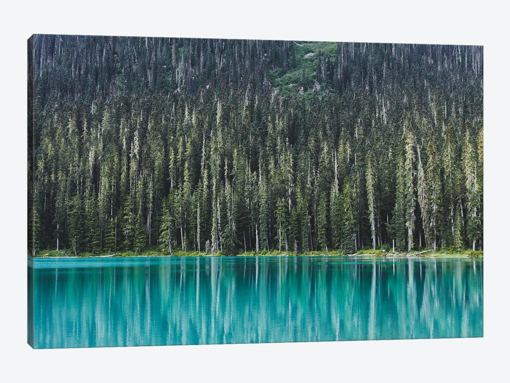Joffre Lake by Luke Anthony Gram 1-piece Canvas Artwork