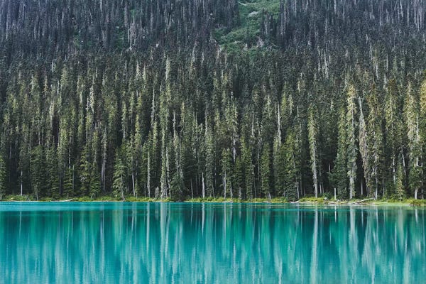 Luke Anthony Gram: Joffre Lake by Luke Anthony Gram