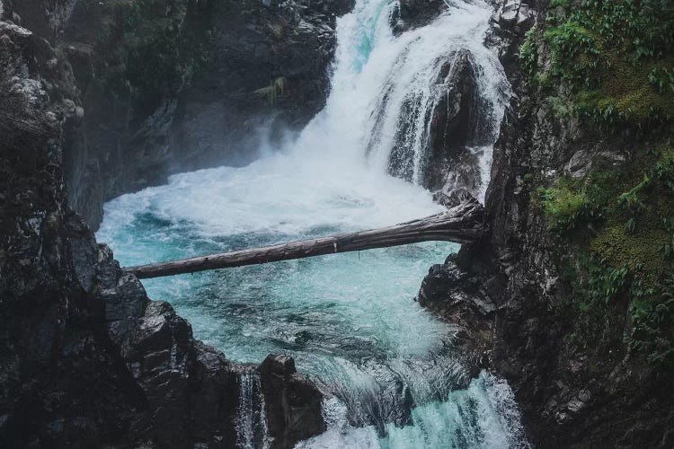 Qualicum by Luke Anthony Gram wall art