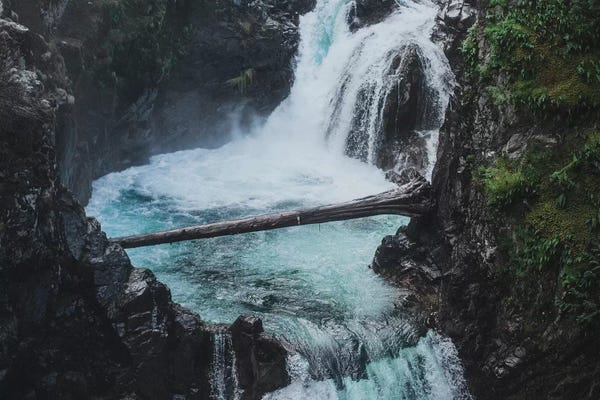 Luke Anthony Gram: Qualicum by Luke Anthony Gram