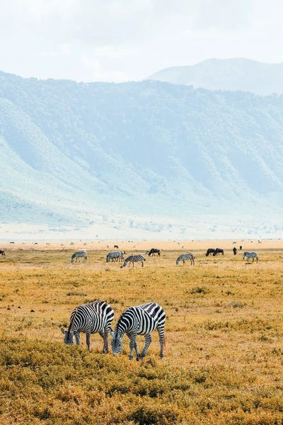 Ngorongoro Crater, Tanzania by Luke Anthony Gram framed canvas print