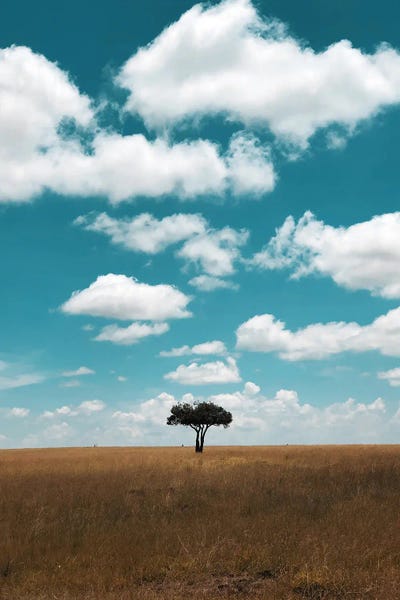 Luke Anthony Gram: Lone Tree In The Maasai Mara, Kenya by Luke Anthony Gram