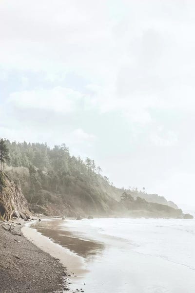 Luke Anthony Gram: Ecola State Park, Oregon by Luke Anthony Gram