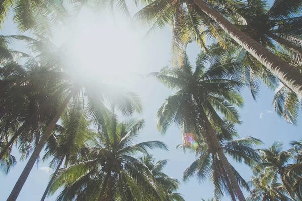 Palawan: El Nido, Philippines by Luke Anthony Gram