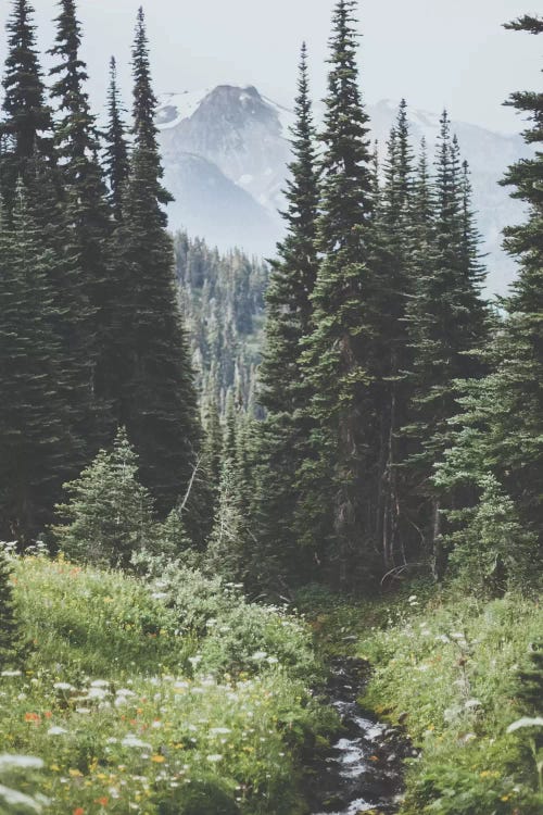Garibaldi Provincial Park, Canada I by Luke Anthony Gram wall art