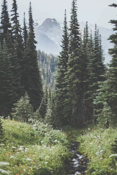 Garibaldi Provincial Park, Canada I