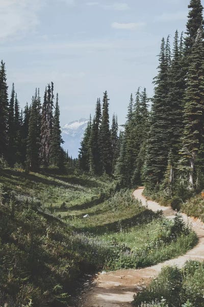 Luke Anthony Gram: Garibaldi Provincial Park, Canada III by Luke Anthony Gram