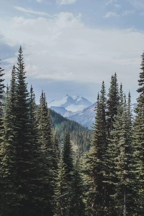 Garibaldi Provincial Park, Canada IV