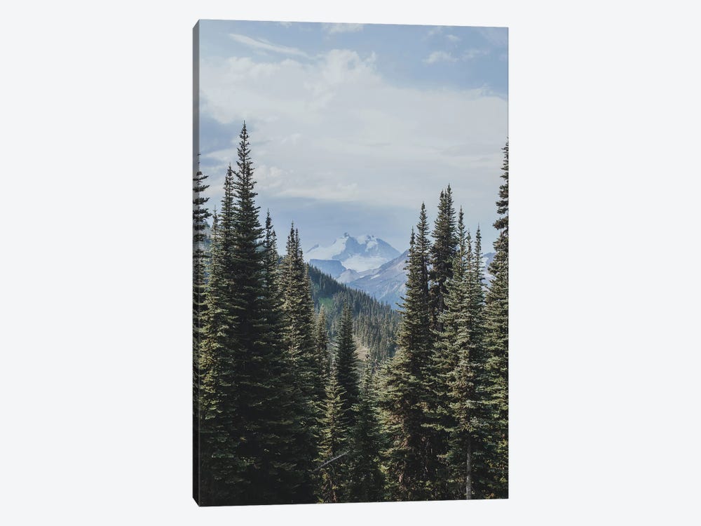 Garibaldi Provincial Park, Canada IV by Luke Anthony Gram 1-piece Art Print