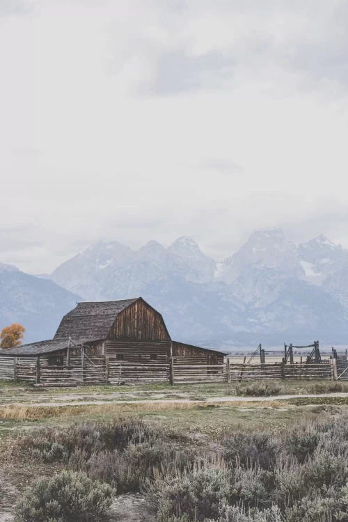 Grand Tetons, Wyoming I by Luke Anthony Gram wall art