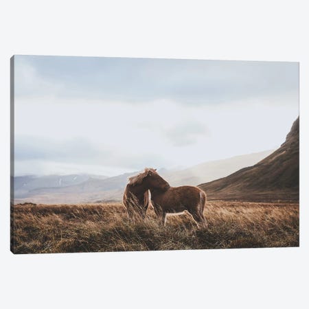 Iceland VII Canvas Print #GRM70} by Luke Anthony Gram Canvas Print