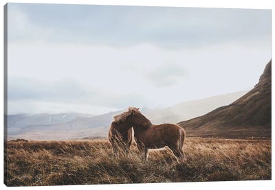 Iceland VII Canvas Art Print - Luke Anthony Gram