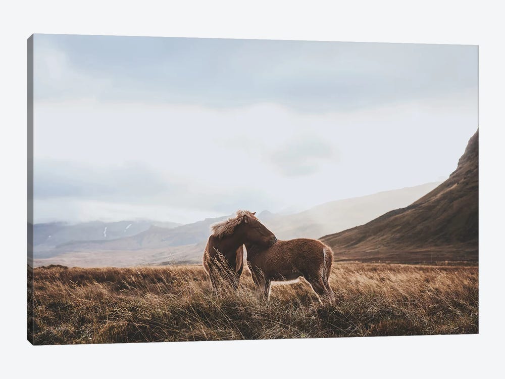 Iceland VII by Luke Anthony Gram 1-piece Canvas Print