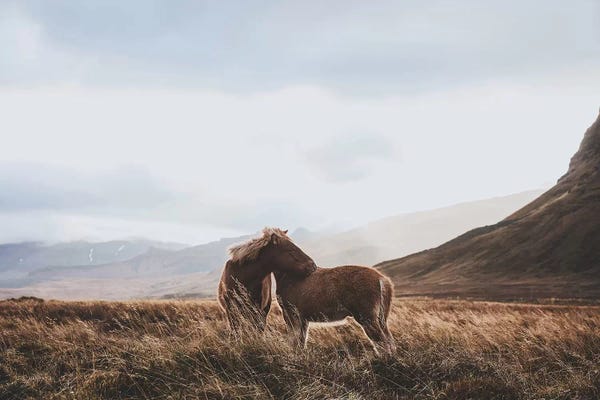 Luke Anthony Gram: Iceland VII by Luke Anthony Gram