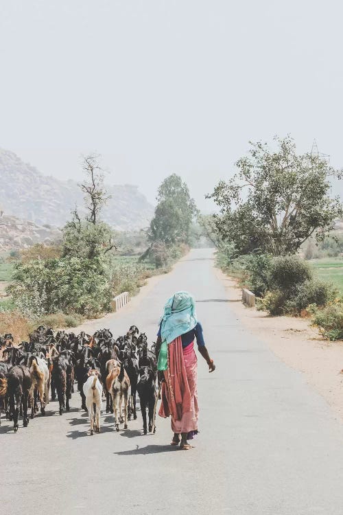 Karnataka, India