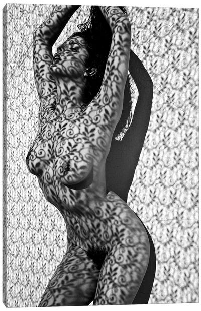 Lace Shadow Canvas Art Print - Figurative Photography